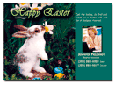 Easter Postcards, Postcard