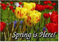 Spring Postcard