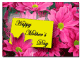 Mother's Day Postcards, Postcard